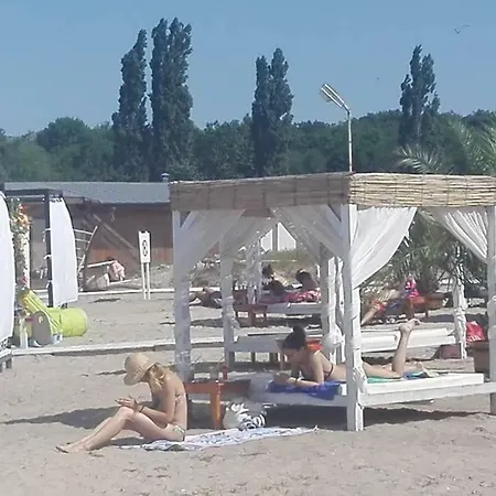 Captain Niko ブルガス