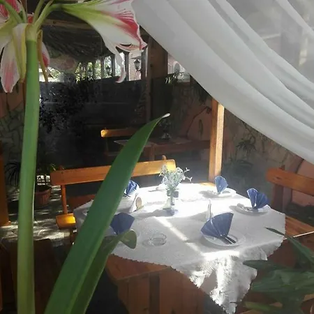 Captain Niko アパート *